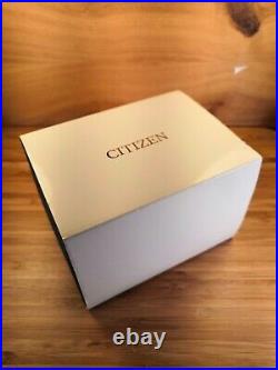 CITIZEN NIGHTHAWK PROMASTER ECO-DRIVE, Pilot black dial watch, in new Condition